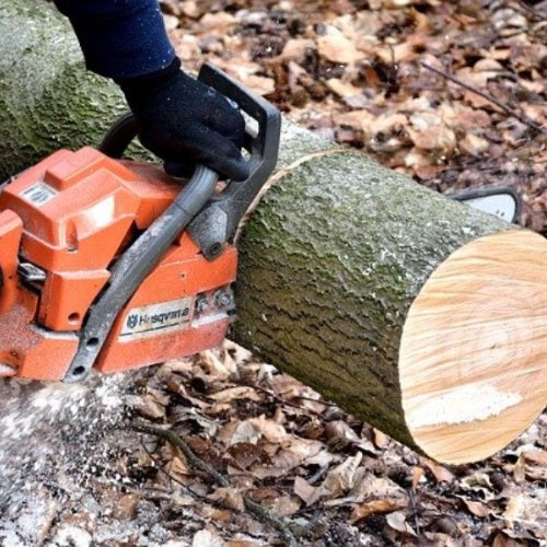 How to Maintain Chain on Your Chainsaw